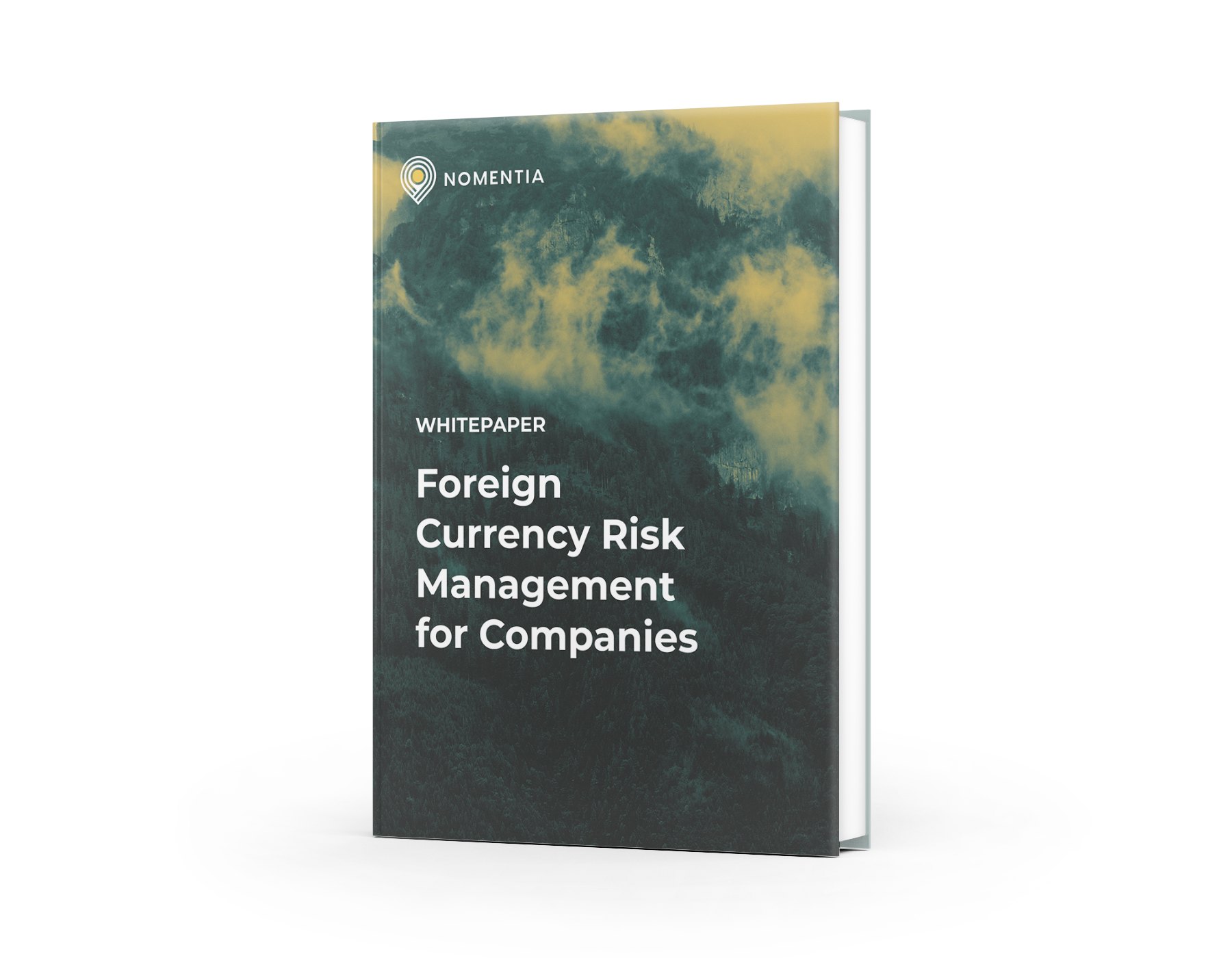 Foreign currency risk management whitepaper-1-compressed