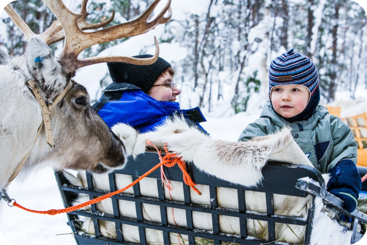 reindeer-sleigh-ride